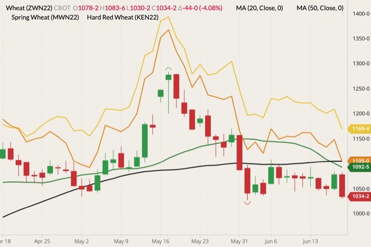 CME July 2022 wheat (candlesticks) with 20- and 50-day moving averages (green and black lines), MGEX July 2022 spring wheat (yellow line) and K.C. July 2022 hard red wheat (orange line). (Barchart)
