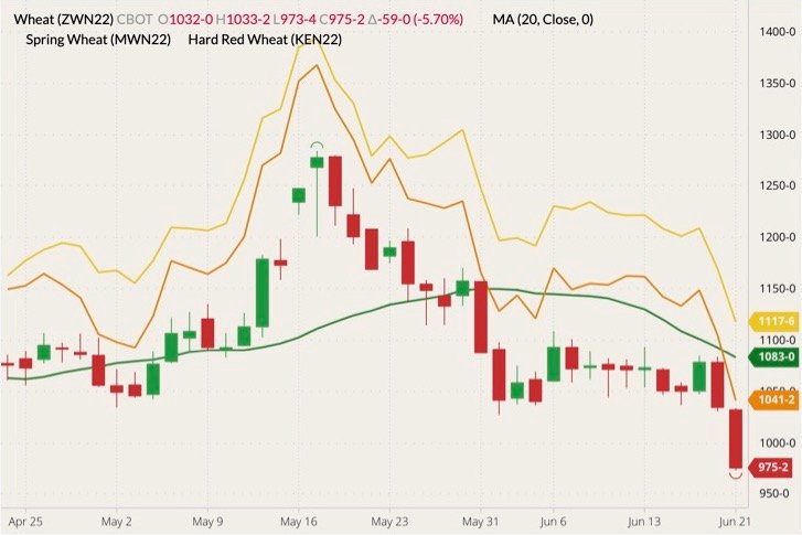 CBOT July 2022 wheat (candlesticks) with 20-day moving average (green line), MGEX July 2022 spring wheat (yellow line) and K.C. July 2022 hard red wheat (orange line). (Barchart)
