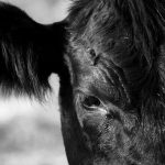 Photo: russokm1105/iStock/Getty Images