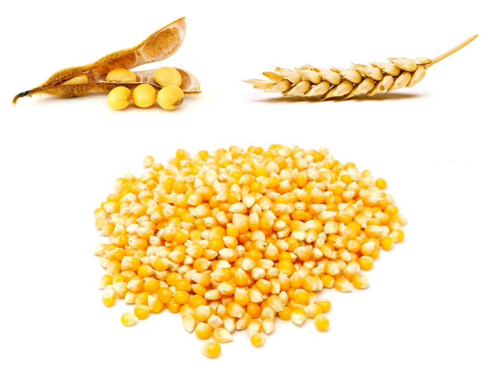 Photo: Thinkstock
