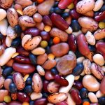 Nominations sought for pulse innovation award