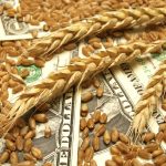 Photo: Thinkstock