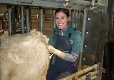 Producers should “lean into” their relationships with vet clinics to discuss preventive medicine in the face of a severe shortage of both vets and veterinary technologists, says Dr. Natasha Kutryk.