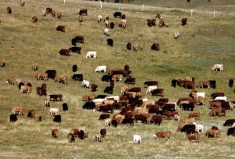 Appeal to grazing leaseholders