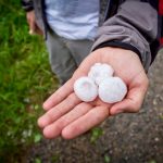 Severe weather in the form of heavy rains and large hail hit some areas in rural Manitoba. Photo: iStock/Getty Images Plus