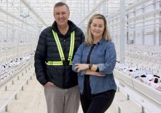 The new 20-acre, $42-million greenhouse is not only a business investment but also an investment in the town of Acme, says Sunterra Group president Ray Price, pictured with Amanda Hehr, president of Sunterra Greenhouse.