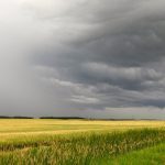La Niña wants to stick around