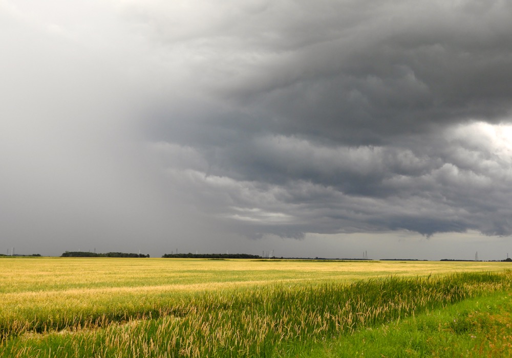 La Niña wants to stick around