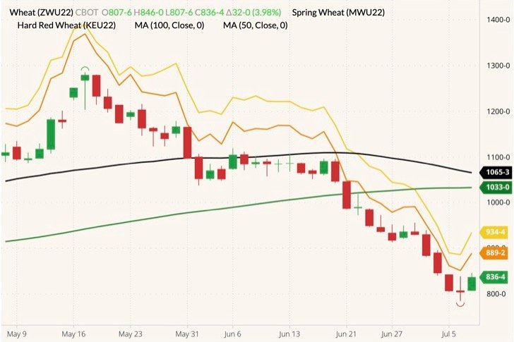 CBOT September 2022 wheat (candlesticks) with 50- and 100-day moving averages (black and dark green lines), MGEX September 2022 spring wheat (yellow line) and K.C. September 2022 hard red wheat (orange line). (Barchart)
