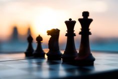 chess