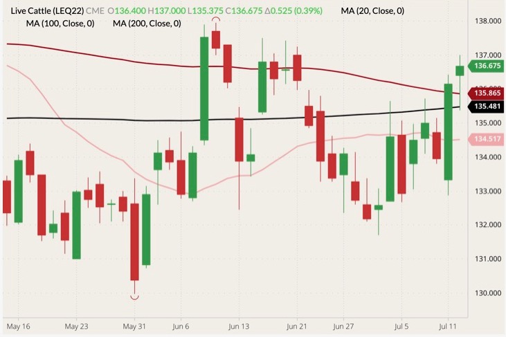 CME August 2022 live cattle (candlesticks) with 20-, 100- and 200-day moving averages (pink, red and black lines). (Barchart)
