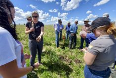 There’s no magic recipe for using cover crops on the northern prairies but give it a try and have some fun, soil scientist Abbey Wick told an engaged group of Alberta producers during a recent field tour near Gem.