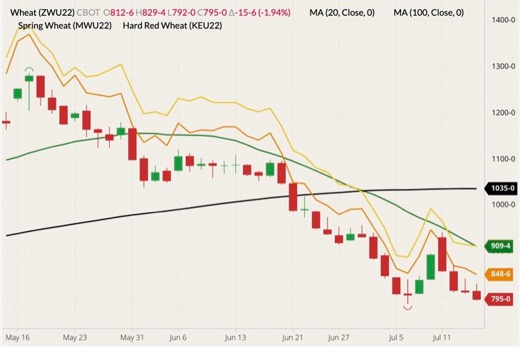 CBOT September 2022 wheat (candlesticks) with 20- and 100-day moving averages (green and black lines), MGEX September 2022 spring wheat (yellow line) and K.C. September 2022 hard red wheat (orange line). (Barchart)
