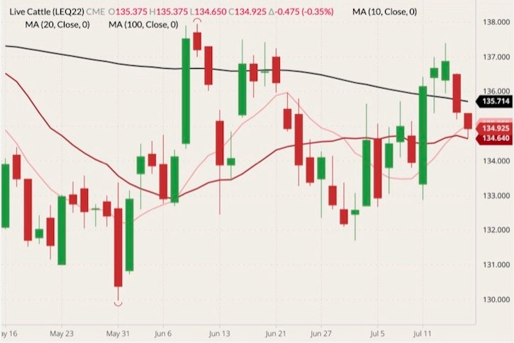 CME August 2022 live cattle (candlesticks) with 10-, 20- and 100-day moving averages (pink, dark red and black lines). (Barchart)
