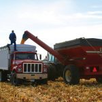 The rise in input costs has been steep but high commodity prices, particularly on the grain and oilseeds side, are saving the day, says Farm Credit Canada.