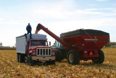 The rise in input costs has been steep but high commodity prices, particularly on the grain and oilseeds side, are saving the day, says Farm Credit Canada.