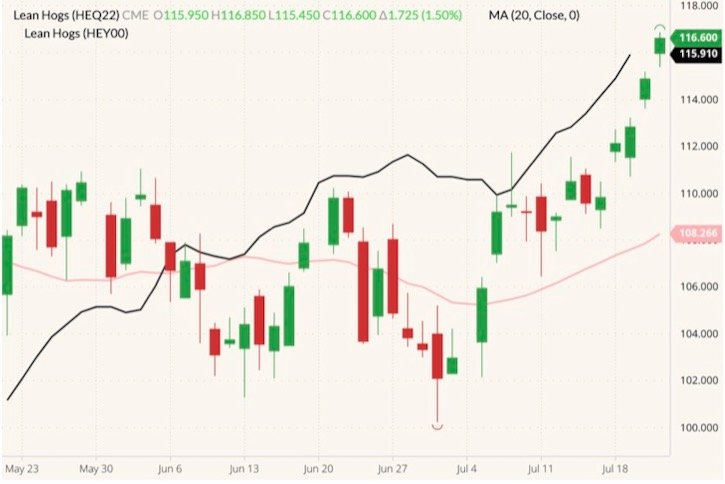 CME August 2022 lean hogs (candlesticks) with 20-day moving average (pink line) and CME lean hog index (black line). (Barchart)
