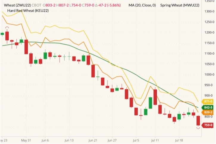CBOT September 2022 wheat (candlesticks) with 20-day moving average (green line), MGEX September 2022 spring wheat (yellow line) and K.C. September 2022 hard red wheat (orange line). (Barchart)
