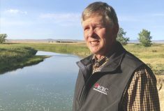 ‘Huge relief’ is how Fred Lozeman and may others are describing the mood in the cattle sector right now. While the impact of the drought isn’t over, the prospects of a major cull of the Alberta herd has been averted and prices look promising.