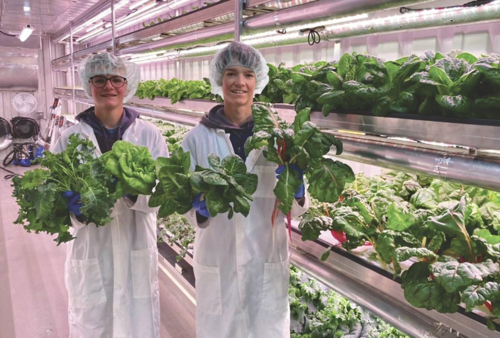 You can get fresh, local greens year-round in the hamlet of Altario. But you have to go to the school where students including Rowyn Roesler and Nathan Van Langen grow them in a shipping container called the Growcer.