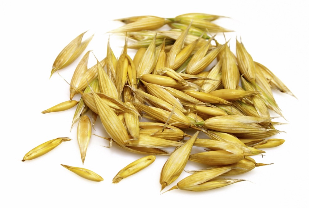 Oat crops topped out at 81 per cent good to excellent in Alberta.  Photo: iStock
