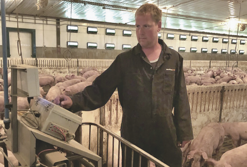 Lethbridge hog farmer Stan Vanessen said higher pork prices mean he is making money now but the margins are slim and many producers “don’t see a future for the industry.”
