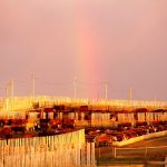 Photo: Canada Beef Inc.