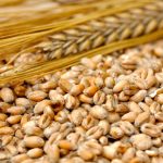 Photo: Thinkstock