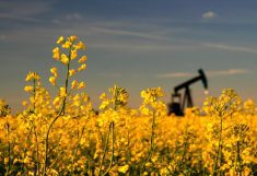 Renewable diesel is a clean-burning fuel chemically identical to regular diesel and can lower greenhouse gas emissions by 80 per cent.