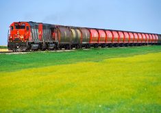 CN releases 2022-23 grain plan