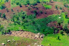 File photo of farmland in Sierra Leone. (Belen B Massieu/iStock/Getty Images)
