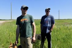 The ability of cover crops to boost productivity attracted Dieter Gagelmans (left) to the practice. He’s taking over the dairy farm of Geoff Volkman (on right) and improving forage production is part of his business plan.
