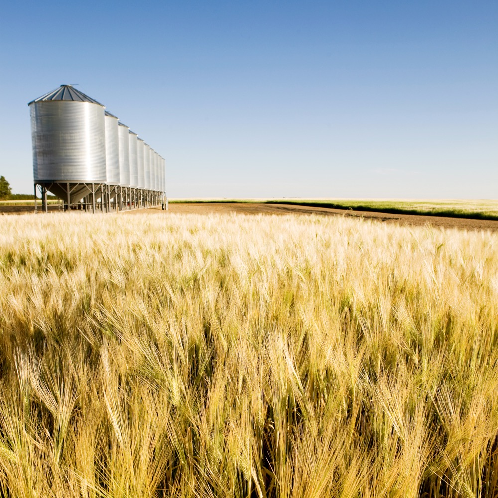 AAFC seeks southern Alberta bins for insect testing