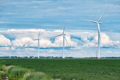File photo of a field of soybeans under turbines at southern Manitoba&#8217;s St. Joseph wind farm. (Dougall_Photography/iStock/Getty Images)
