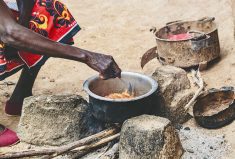 The number of people experiencing famine globally has jumped by an estimated 10 million since May.