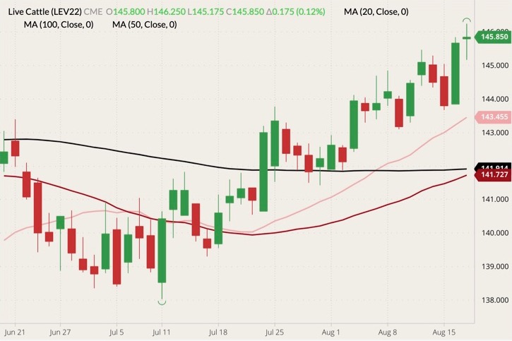 CME October 2022 live cattle (candlesticks) with 20-, 50- and 100-day moving averages (pink, red and black lines). (Barchart)
