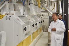 Cereals Canada flour mill