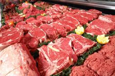 A new study to be available in early 2023 aims to look at the disparity between the price producers get for their cattle and what consumers pay for the price of beef.