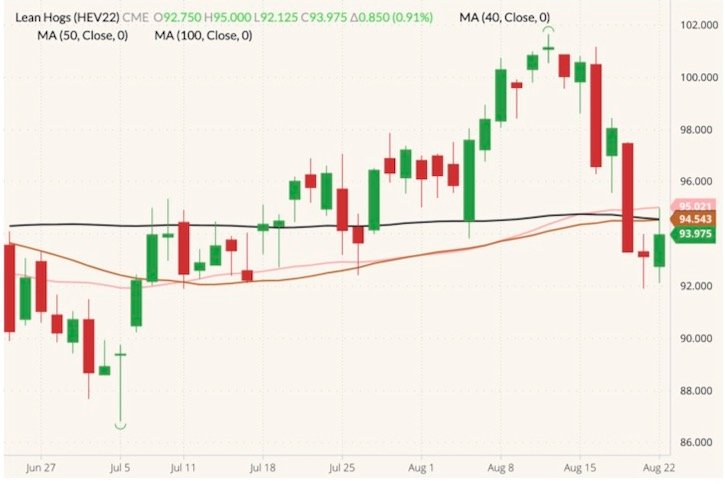 CME October 2022 lean hogs (candlesticks) with 40-, 50- and 100-day moving averages (pink, brown and black lines). (Barchart)
