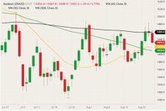 CBOT November 2022 soybeans (candlesticks) with 20-, 50- and 100-day moving averages (yellow, green and black lines). (Barchart)