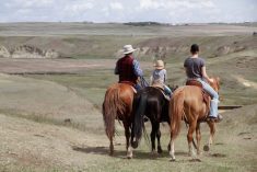 Jerry Baerg and two of his children survey a section of their native grassland near Linden.