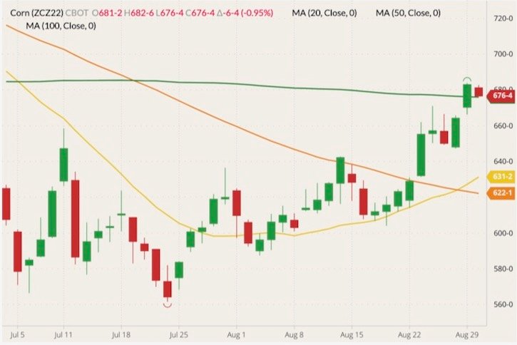 CBOT December 2022 corn (candlesticks) with 20-, 50- and 100-day moving averages (yellow, orange and green lines). (Barchart)
