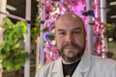 There is a lot of vacant office space in Calgary and other cities that could be converted to indoor farms, Dan Houston says.