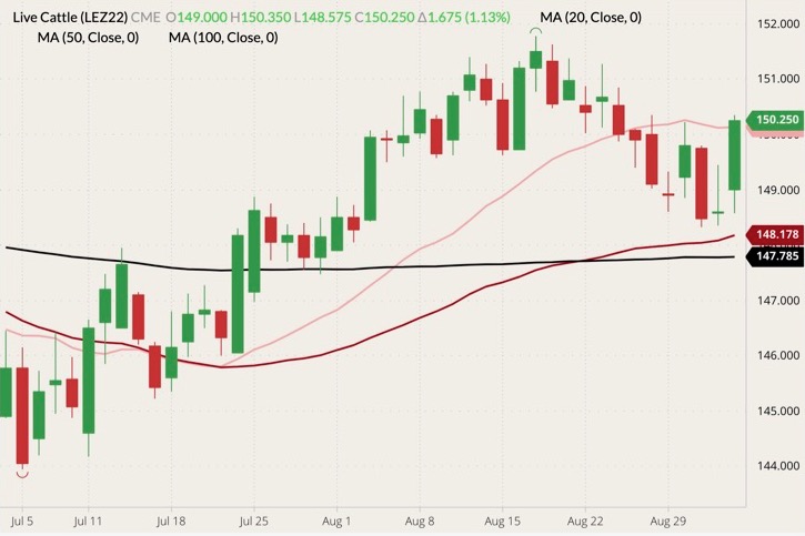 CME December 2022 live cattle (candlesticks) with 20-, 50- and 100-day moving averages (pink, dark red and black lines). (Barchart)
