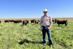 After a string of tough years, optimism has returned thanks to stronger prices and falling feed costs, says Gem-area rancher Daniel Doerksen.