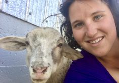 News that the massive North American Lamb Company has been placed under creditor protection has producers anxious about what happens next, says Brittany Walker, chair of Alberta Lamb Producers.