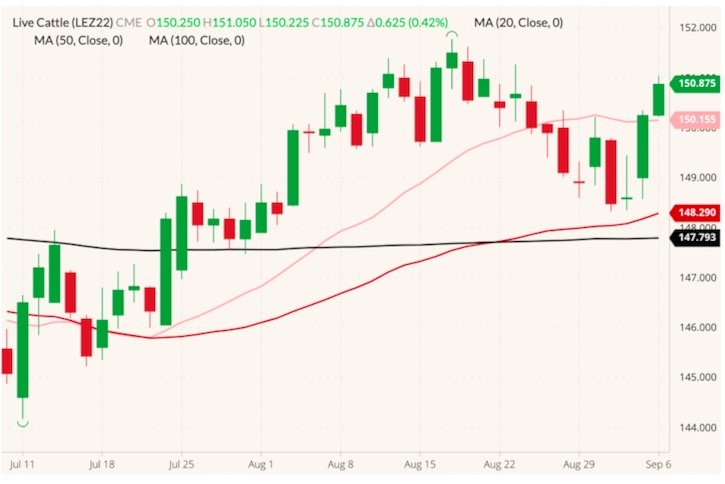 CME December 2022 live cattle (candlesticks) with 20-, 50- and 100-day moving averages (pink, dark red and black lines). (Barchart)
