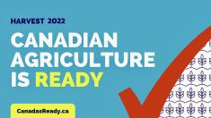 Pulse Canada helped create the “Canada’s Ready” campaign, which calls on ports and railways to be ready to move “the most important harvest in a generation.