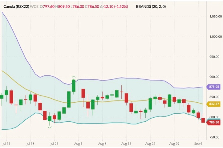 ICE November 2022 canola (candlesticks) with Bollinger bands (20,2). (Barchart)
