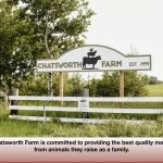 Rick and Johanna Wasylik named their farm after old Chatsworth school district. “We can see the pioneer one-room schoolhouse from our front porch,” they say on their website.
